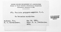 Image Associated With the Occurence